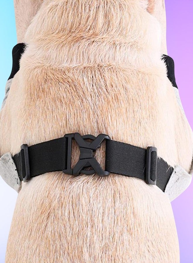 ZeroLuxury® Dog Elbow Brace Pads | Adjustable Elbow Wrap for XL Breeds | Breathable & Soft Support Sleeve - Image 2